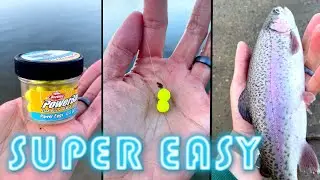 EASIEST Way to Catch STOCKED TROUT #shorts