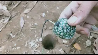 hole vs green sutli experiment