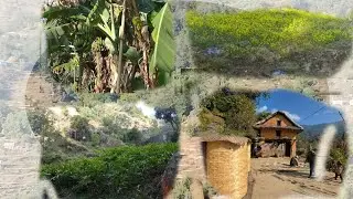 My second vlog vlige life is best vloge and village working 