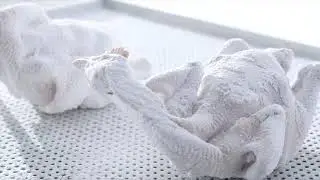 Liquid Nitrogen Quick Freezing Frozen Equipment for Chicken