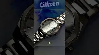 We All Missed This Citizen
