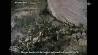 Atomm&uuml;ll-Endlagerung German-Style