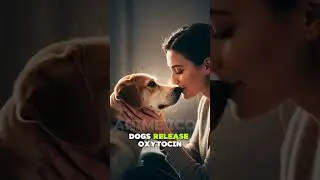 Why Dogs Love Humans More Than Other Dogs ❤️ #dogs  #dog
