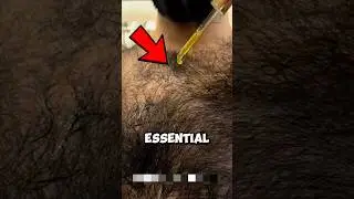 Meet the Hairiest Man on Earth&mdash;His Daily Routine Will Shock You! 😲
