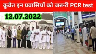 Kuwait expats pcr-test update kuwait ministry news  today
