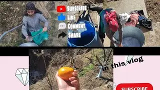 Phadi life style 