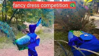 fancy dress competition peacock 🦚😍|peacock dress