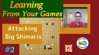 Attacking Big Shimaris