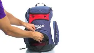 Speedo Large 35L Teamster Backpack
