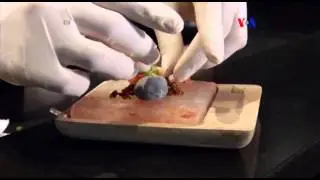 Gastronom&iacute;a molecular