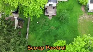 Pooper scooper @ScoopPawtrol
