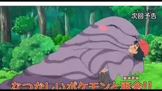 Pokemon Sun and Moon   Brock and Misty Return Episode 42 Preview