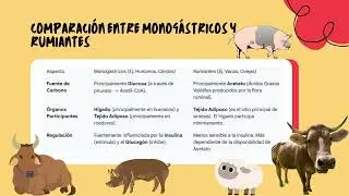 Anabolismo de l&iacute;pidos en monog&aacute;stricos y rumiantes 