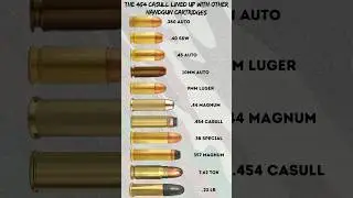 The 454 Casull lined up with other handgun cartridges #military