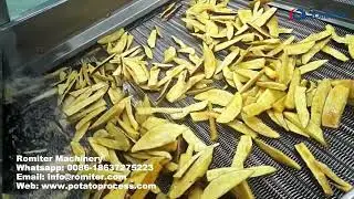 Continuous Potato Chips Frying Machine | Automatic Continuous Chips Frying Machine For Potato Chips
