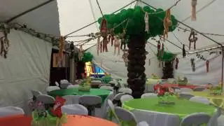 Safari 🙈🐻🐼🐯Decoracion de selva