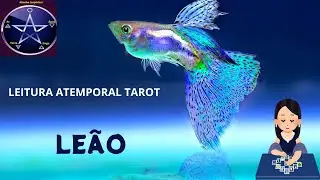 ♌LEÃO - UM ENCONTRO DESTINADO!! VALORIZE O SEU PODER, ELE TRARÁ BENÇÃOS NA SUA VIDA