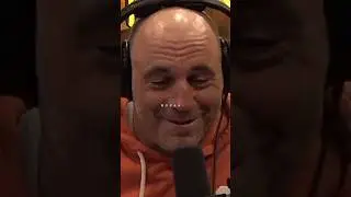 Joe Rogan's Bad Experience with an Expensive Wine