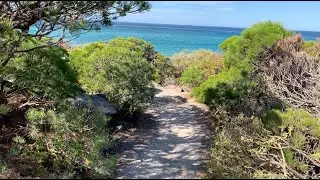 Creative Women's Art and Yoga Retreat in SW Australia  with Dawn Meader and Ashlea Wilken 2020