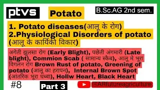 Ptvs / Potato disease / physiological disorder of potato / aalu ke rog / @ARfutureagriculture
