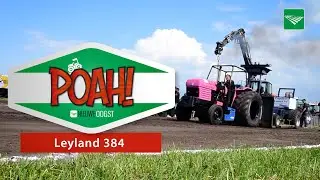 POAH! Leyland 384