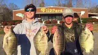 Gallatin Steamplant Monster Tilapia