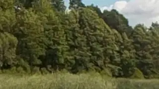 427/Szperek-otaczająca przyroda.