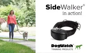 The SideWalker&reg; in Action - No More Leash Pullling!