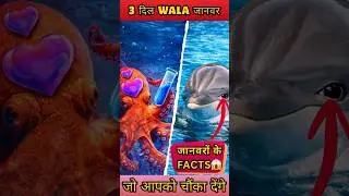 3 दिल वाला जानवर 😱 | Top 10 Animal Facts in Hindi | Real Facts
