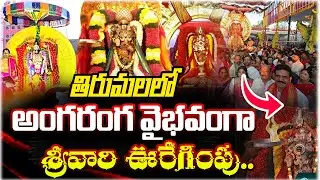 తిరుమలలో అంగరంగ వైభవంగా శ్రీవారి ఊరేగింపు | LIVE From Tirumala Full Video Ratha Saptami 2026 Special