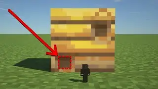 What's Inside the Bee Nest?