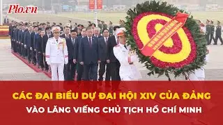 Các đại biểu dự Đại hội XIV của Đảng vào Lăng viếng Chủ tịch Hồ Chí Minh | Tin nhanh