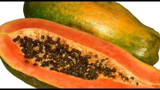 Papaya Fruit Taste Test | The Garden Of Eden Episode 2