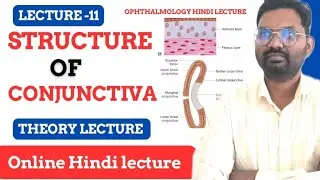 Lecture 11 / structure of conjunctiva / anatomy of conjunctiva / conjunctiva hindi lecture/optometry