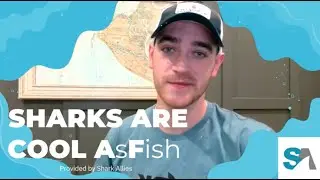 Shark Squad with Gavin: Elementary