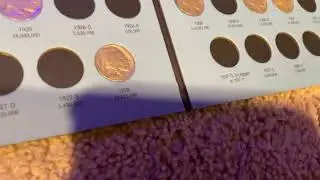 My buffalo nickel collection