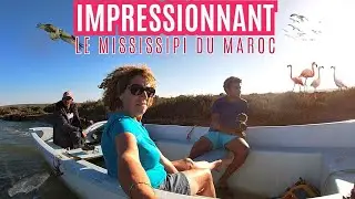 221-LE MISSISSIPPI DU MAROC - a ne pas rater si vous voyagez au Maroc ( Moulay bousselham )