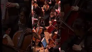 National Twin Day with Pei-Jee and Pei-Sian Ng #twins #cello #orchestra #australianworldorchestra