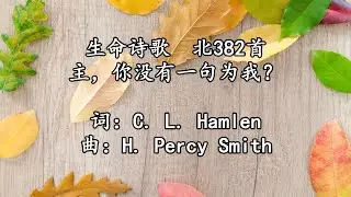 北382 大499 主，你没有一句为我？