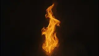 Timelines: How to advance them- with BDevine&reg;️