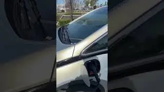 Зарядка электромобиля Chevrolet Bolt EV на Chargepoin+