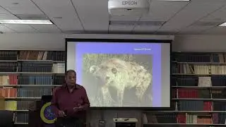 Social Dominance Theory and the Dynamics of Gendered Prejudice - June 4, 2018