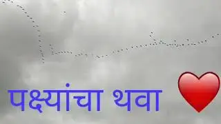 🤩🤩😍😍😍😍 kurla bailbazar...70