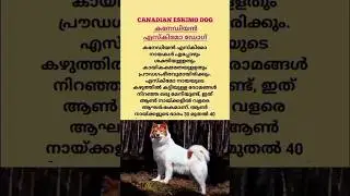 കൃഷി അറിവുകൾ | Canadian eskimo dog #farming #shorts