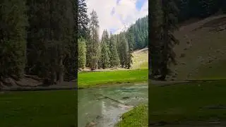 Taip Banda Swat 👍 please subscribe #Taipbanda #foryou