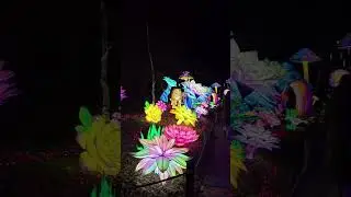 Light Safari @ Beekse Bergen in the Netherlands. 🥰 #lightsafari #safari #beeksebergen #beautiful 