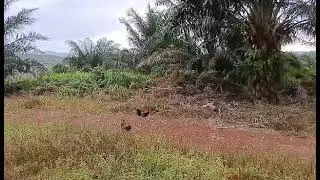 Simpan sini selebet.