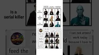 Harry Potter Characters Explained in One Meme 🤣 | #shorts #shortsfeed #harrypotter #usashorts