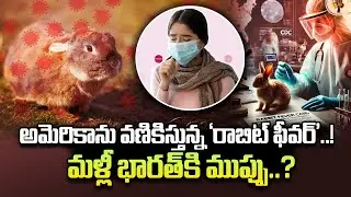 Rare Rabbit Fever Cases Rises In US | Symptoms and Its Impact | SumanTV Texas