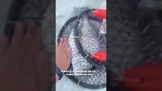 Ultralight fishing for Sea Bream (bicoco) #ultralightfishing #customrod #fishing #seabream